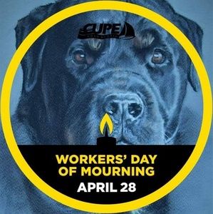 Meet your Posher, Bolton